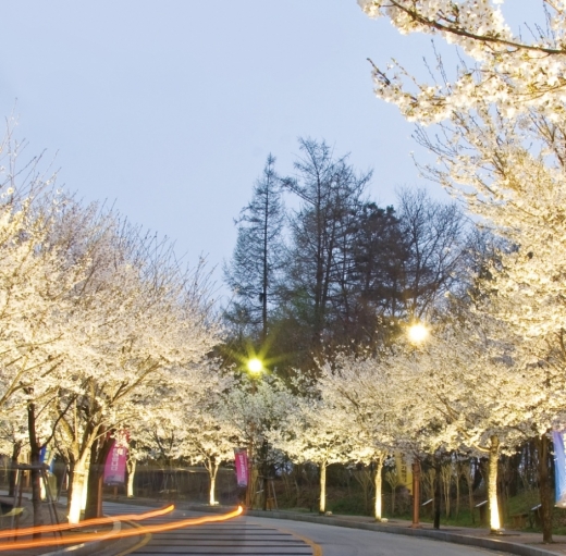 동두천 소요산 야경 (자유수호평화박물관  진입로). / 사진제공=경기북부청