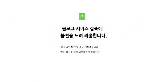 블로그. /사진=네이버 블로그 캡처