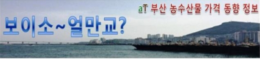 /사진제공=한국농수산식품유통공사