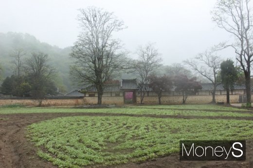 봄비와 산안개가 감싼 김명관 고택 전경. /사진=박정웅 기자