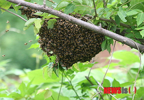 /사진=뉴시스DB