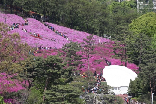철쭉동산. / 사진제공=군포시