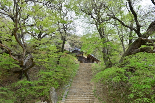 봉정사에서 영산암 가는 길. /사진=한국관광공사