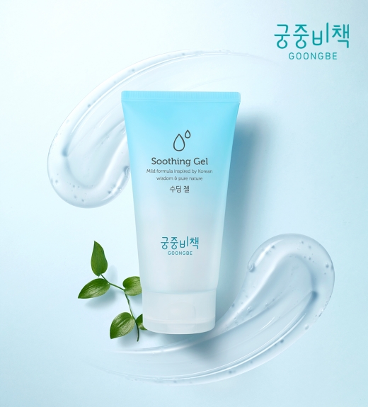 ©궁중비책