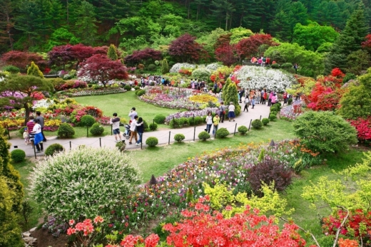 아침고요수목원. / 사진제공=경기도