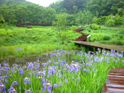 평강식물원. / 사진제공=경기도
