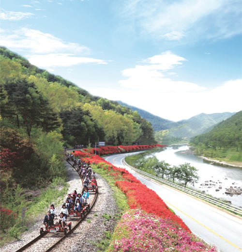 곡성 섬진강 기차마을 레이바이크 /사진제공=전남도