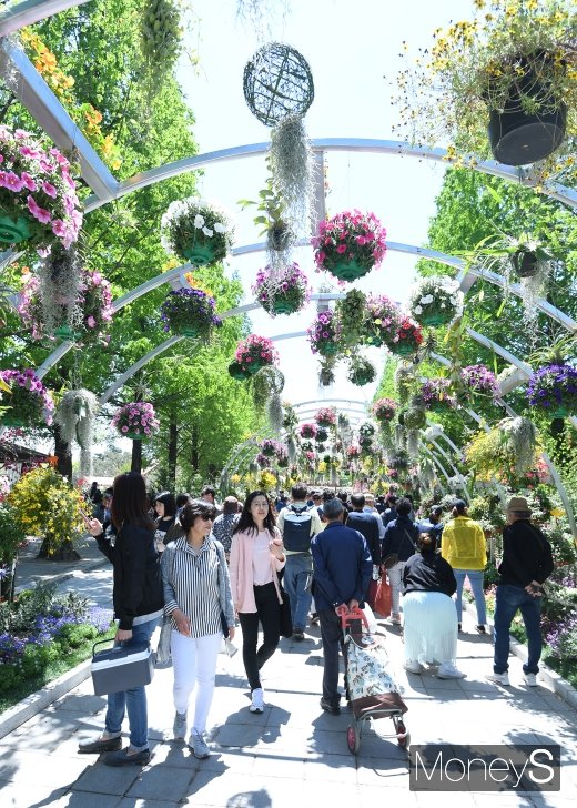 [머니S포토] 화려한 꽃터널