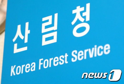 산림청. 산불상황근무 중이던 산림청 소속의 50대 사무관이 과로로 숨졌다. /사진=뉴스1
