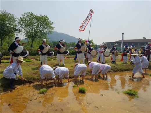 지난 7일 시흥시는 오는 5월 18일과 6월 8일 2회에 걸쳐 정왕동 함줄도시농업공원에서 ‘2019 시흥시 가족과 함께 손 모내기’를 추진한다고 밝혔다. / 사진제공=시흥시청