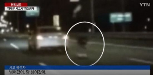 배우 한지성이 사망한 인천공항고속도로 사고 장면. /사진=YTN 방송화면 캡처
