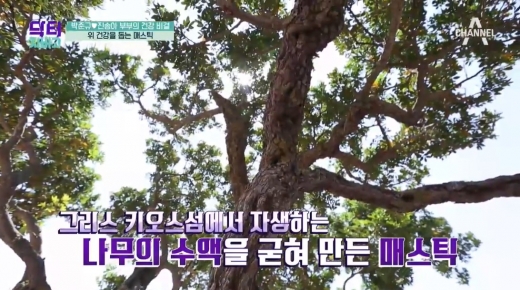매스틱. /사진=채널A 닥터 지바고 방송 화면 캡처