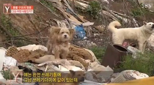 동물구조영웅. /사진=SBS 프로그램 궁금한 이야기 Y 방송 화면 캡처