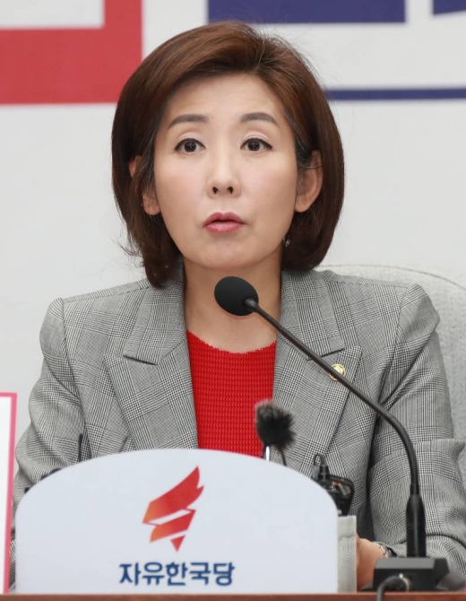 나경원 자유한국당 원내대표/사진=머니투데이DB