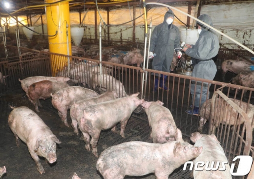 사진=뉴스1 DB.(기사와 무관)