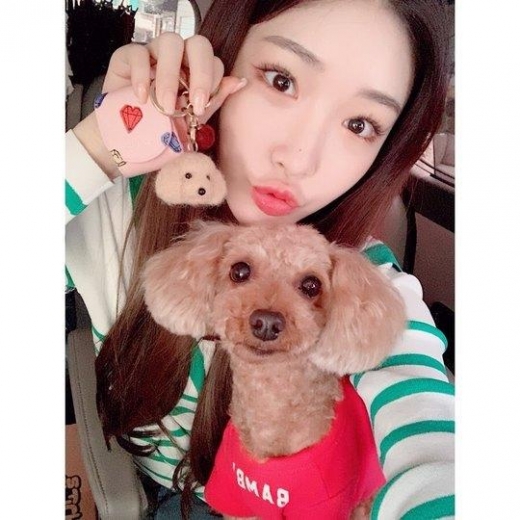 청하, 반려견 밤비와 닮은 키링 자랑