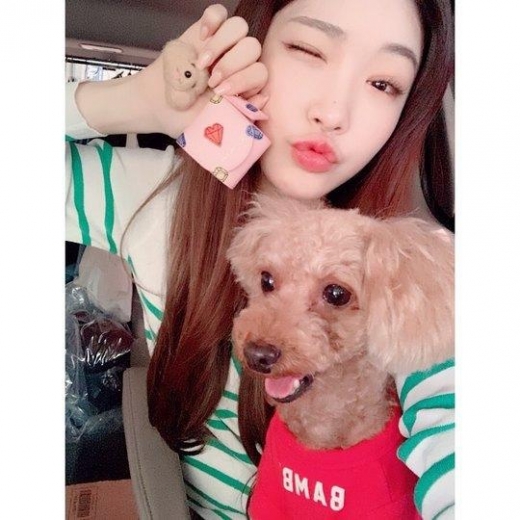 청하, 반려견 밤비와 닮은 키링 자랑