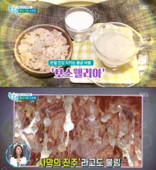 보스웰리아. /사진=SBS '좋은아침' 방송화면 캡처