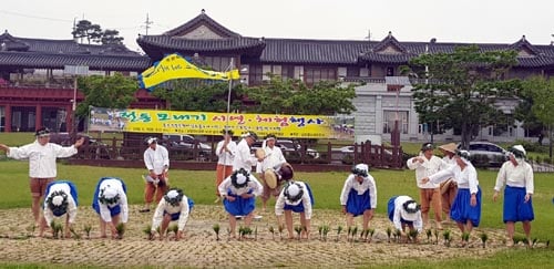 전통모내기 남도들노래 시연장면 /사진제공=전남도농업박람관