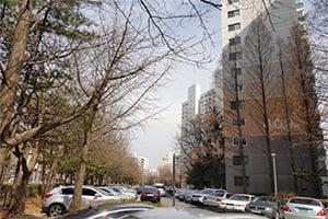 [주목! 경매물건] 장항동 54.4㎡ 1.8억에 시작