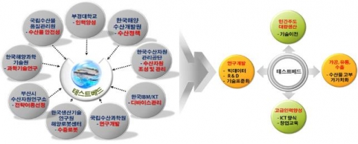 스마트양식 클러스터 테스트베드 조성을 위한 기술개발 및 테스트베드 조성 후 성과학산 흐름도./사진제공=부산시