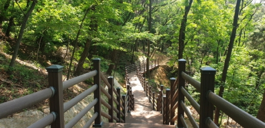 1단계 조성사업이 마무리된 김해 장유 반룡산 둘레길./사진제공=김해시