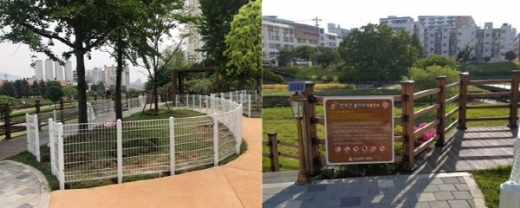 동래구 사직동 982-3번지 일원에 조성된 ‘반려동물 산책놀이공원’/사진제공=동래구