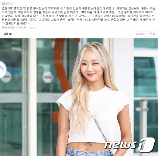 효린. /사진=네이버 뉴스 댓글 화면 캡처, 뉴스1