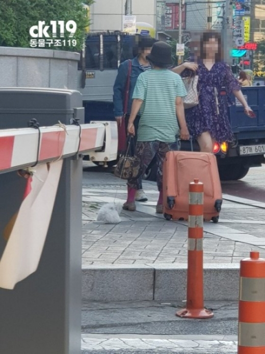 동물학대. /사진=머니투데이(동물구조119 제공)