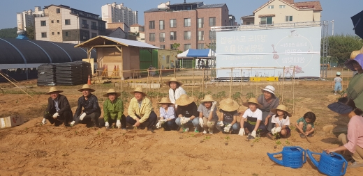 도시농장. / 사진제공=경기도