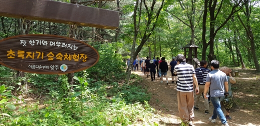 초록지기 둘레길. / 사진제공=양주시