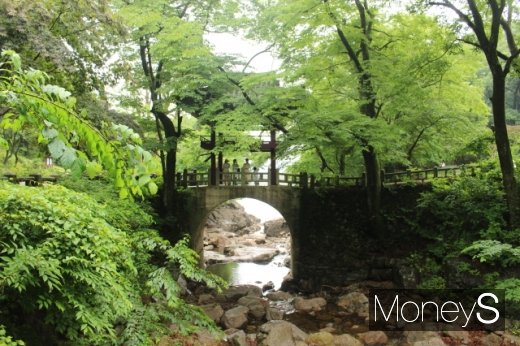 단오, 이슬비 내려앉는 지리산 천은사 수홍루