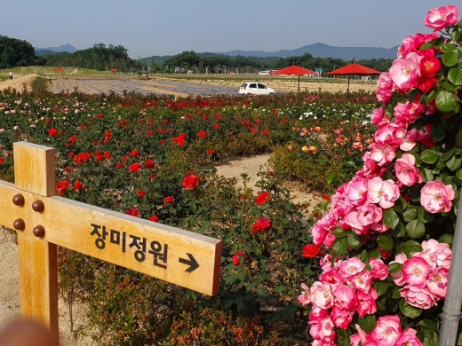 나리농원. / 사진제공=양주시