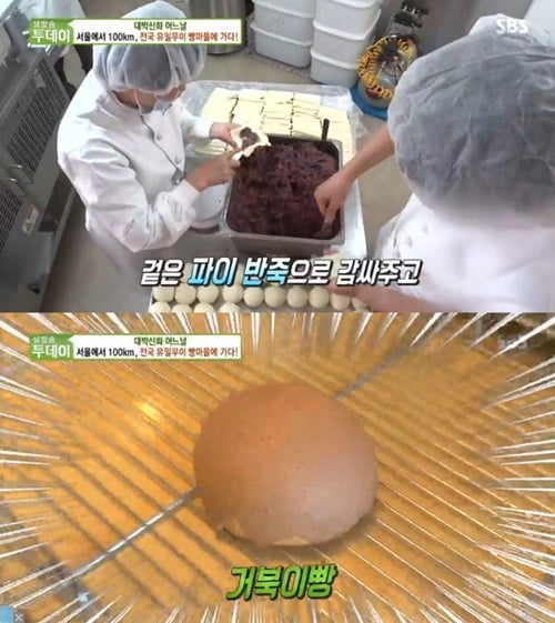 천안 빵마을. /사진=SBS 방송캡처