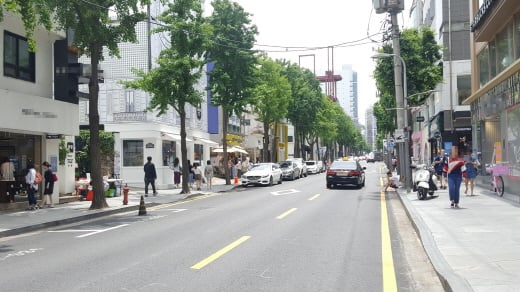 신사동 가로수길. /사진=김창성 기자