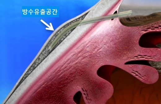 ./사진=차의과대학교