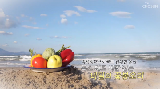 아티초크./사진=TV조선 캡처