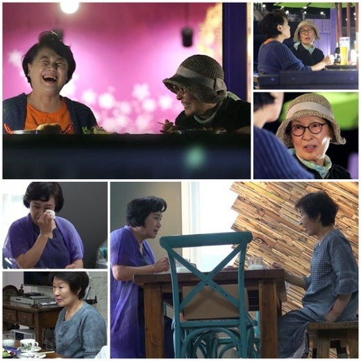 김혜자, 박원숙 모던패밀리./사진=MBN 캡처  