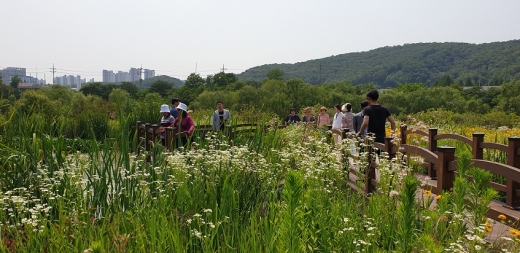 안양시, 석수2동 연현습지 전경. / 사진제공=안양시