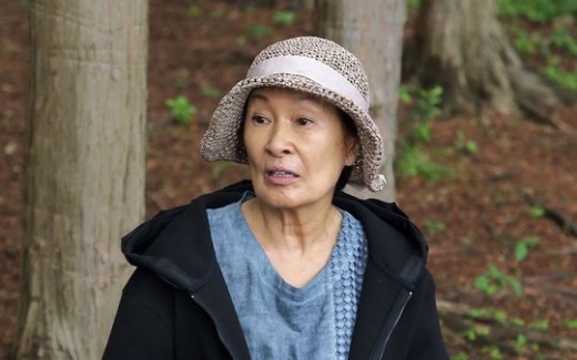 김혜자 루머해명./사진=MBN ‘모던 패밀리’ 제공