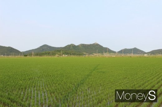 도초도 고란평야. 신안에서 가장 너른 들이다. /사진=박정웅 기자