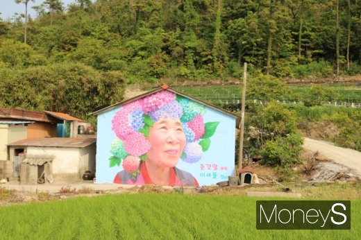 수국공원 초입의 춘경말(마을) 부락의 한 농가에 그려진 이세돌 9단의 어머니 벽화. 머리를 수국꽃으로 장식했다. /사진=박정웅 기자