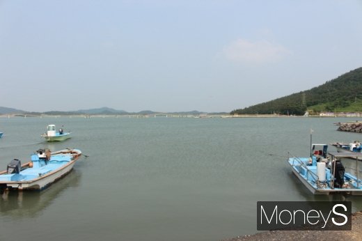 안좌면 두리 선착장에서 바라본 퍼플교. /사진=박정웅 기자