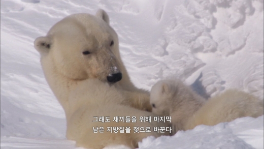 ©tbs TV