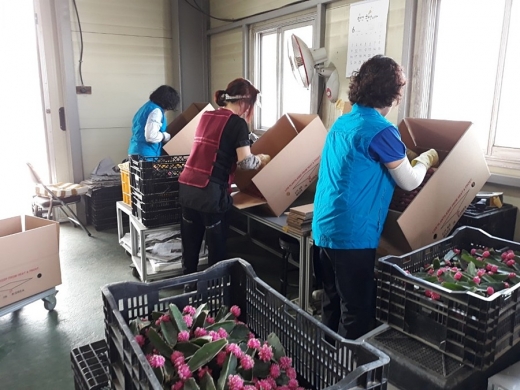 고양시 지역공동체 일자리사업. / 사진제공=고양시