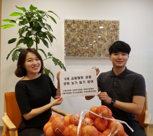 은행연합회, 금융투자협회, 생명보험협회, 손해보험협회, 여신금융협회, 저축은행중앙회 등 6개 금융협회는 생산 과잉에 따른 양파값 폭락으로 어려움을 겪고 있는 농가를 돕기 위해 금융협회 공동으로 범 금융권 양파 소비촉진 운동을 실시하기로 했다./사진=은행연합회