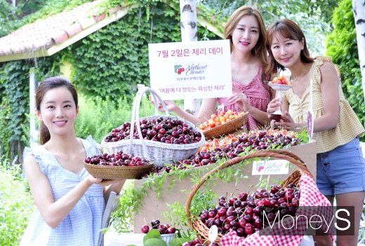 [머니S포토] '7월 2일부터 워싱턴체리 시즌 시작!'