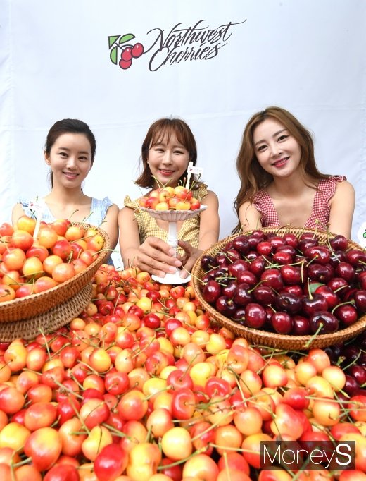 [머니S포토] '7월 2일부터 워싱턴체리 시즌 시작!'