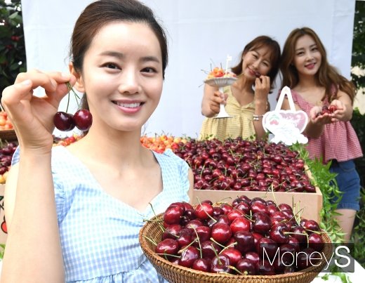 [머니S포토] '7월 2일부터 워싱턴체리 시즌 시작!'
