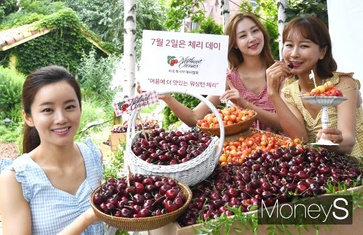 [머니S포토] '7월 2일부터 워싱턴체리 시즌 시작!'